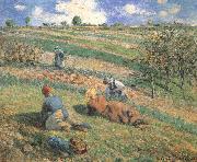 Camille Pissarro Field work Germany oil painting reproduction